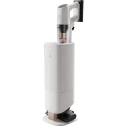 Vacuum cleaner stick ep83hb25uv electrol