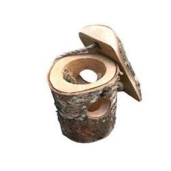 Putnu barotava. 1.5 cm x 1 cm