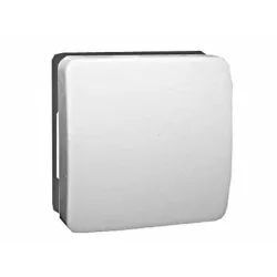 Pārslēdzis 1viet. p610-010-02v balt