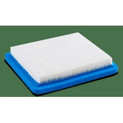 Filtrs pļaujmašīnas dzinējam LMO00 B&S dz. 625-650-675 Ho