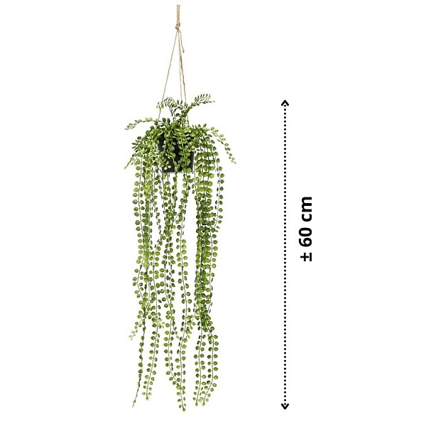 Emerald nokarens mākslīgais ložņu gumijkoks podiņā, 60 cm