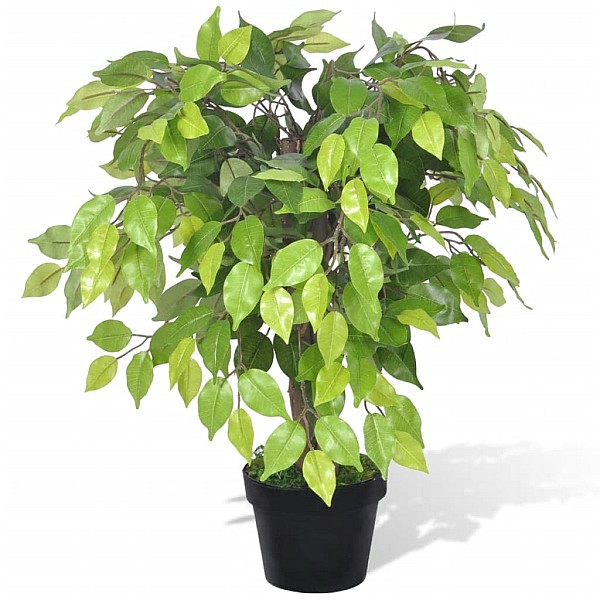 Mākslīgais Dwarf ficus augs ar podu, 60 cm