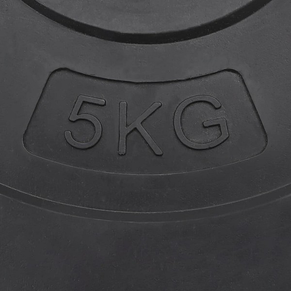 svaru diski, 4 gab., 30 kg, cements