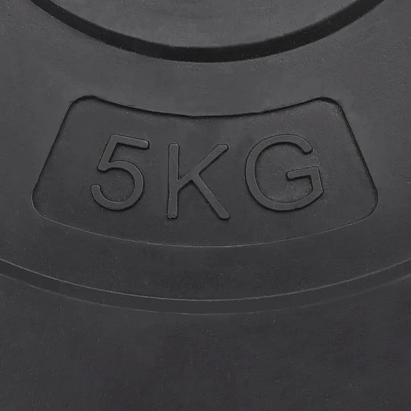 svaru diski, 6 gab., 30 kg, cements