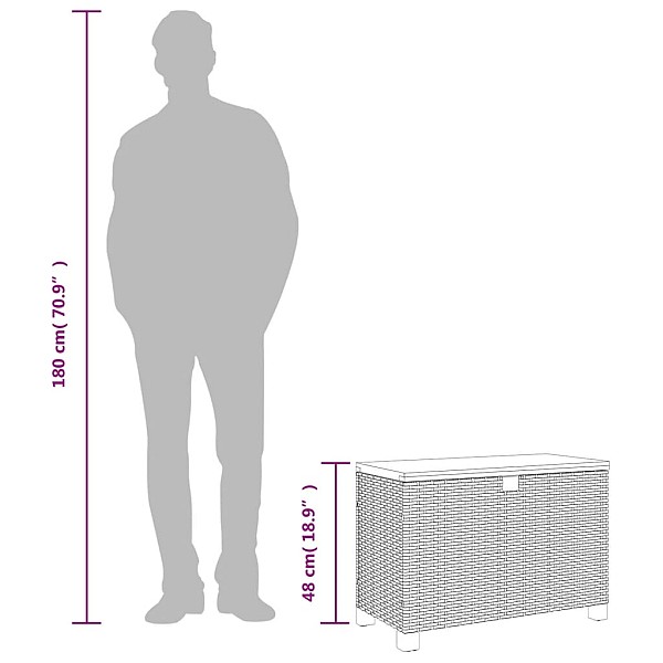 dārza uzglabāšanas kaste, bēša, 80x40x48 cm, PE rotangpalma