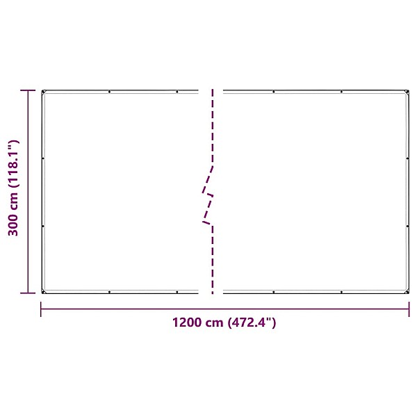 Caurspīdīgs brezents ar cilpām 3x12 m Polietilēns