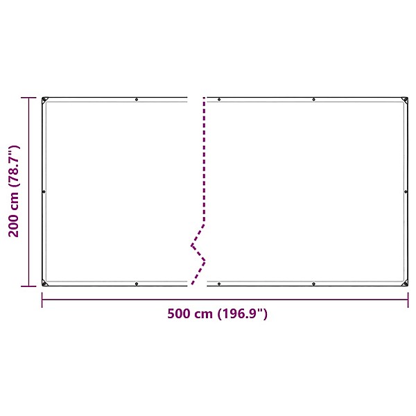 Caurspīdīgs brezents ar cilpām 2x5 m PVC