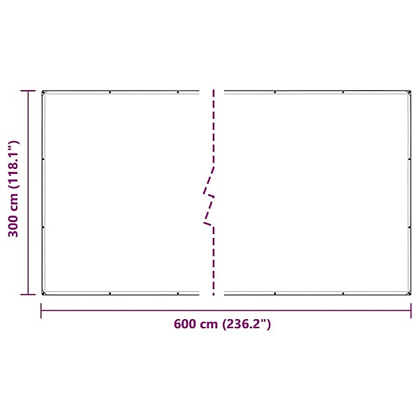 Caurspīdīgs brezents ar cilpām 3x6 m PVC