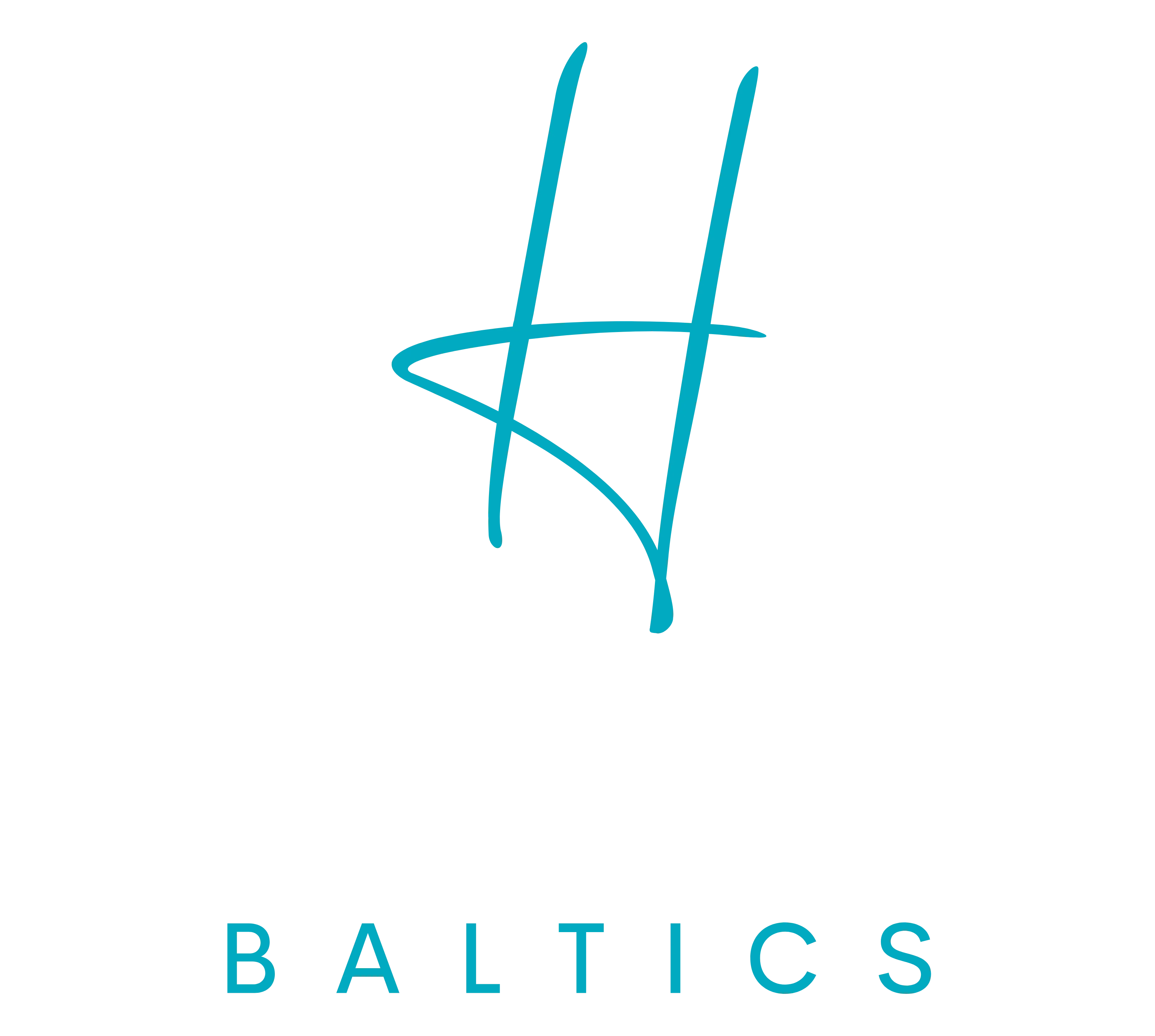 SIA Helmand Baltics