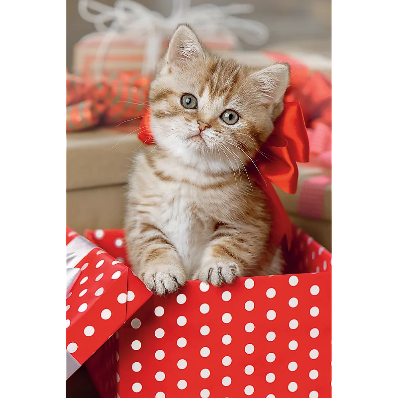 TREFL Mini 54 pusle Armsad loomad TREFL Mini 54 pusle Armsad loomad