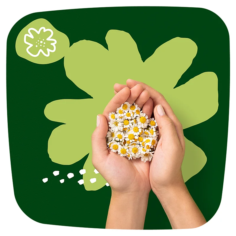 Naturella Ultra Night Izmērs 4 Paketes Ar Spārniņiem, 28 gab