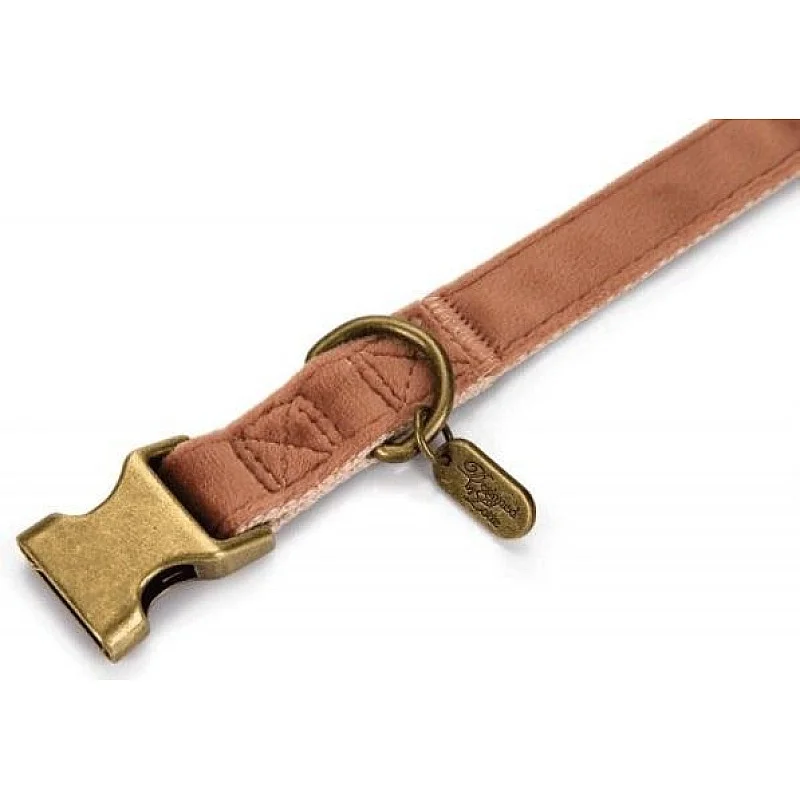 Kaklasiksna suņiem Lotte Velura.  260-400mmx10mm. 26-40