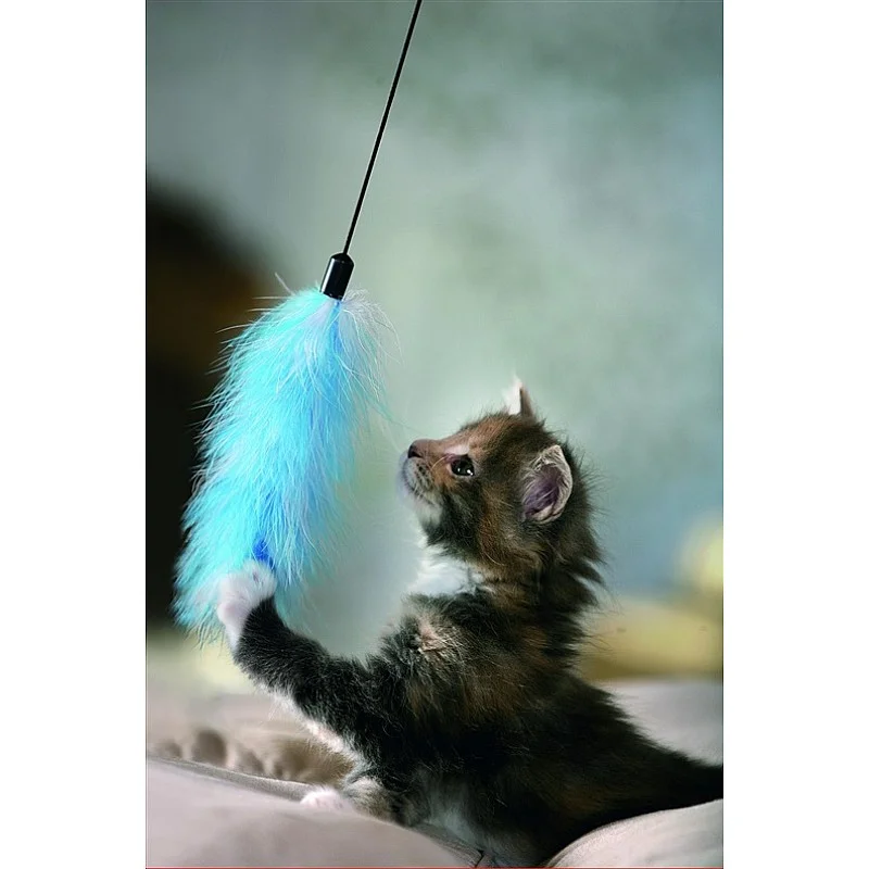 TOY FISHING ROD FEATER BOA KARLIE 50CM TOY FISHING ROD FEATER BOA KARLIE 50CM