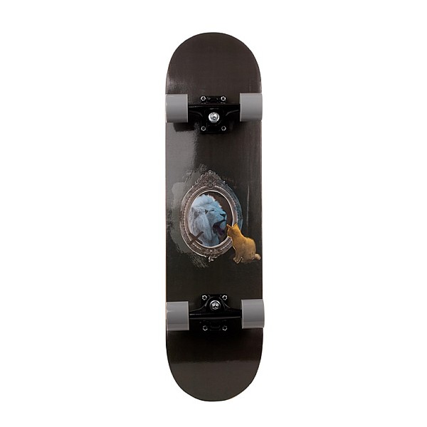 SKRITUĻDĒLIS SKATEBOARD 3108-4