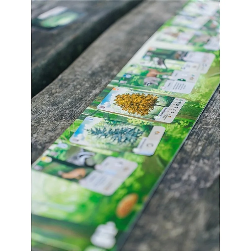 Stalo žaidimas Brain Games Forest Shuffle. LT