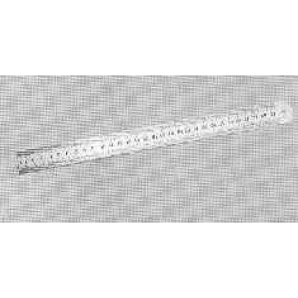 STEEL RULER GWR-3011 300MM (300)