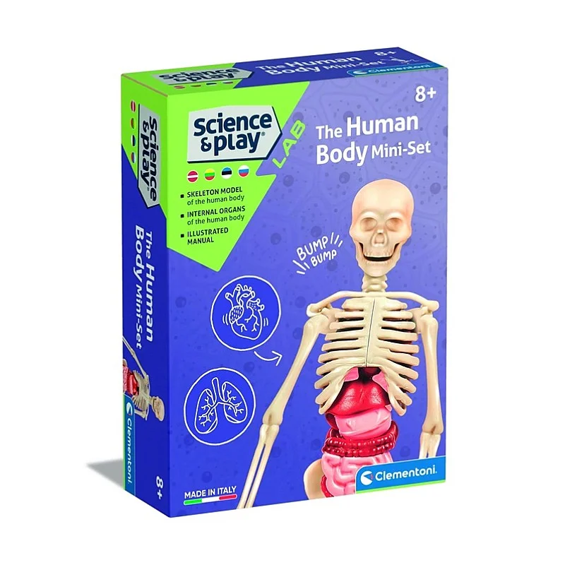 Edukacinis žaislas Clementoni The Human Body Mini-Set 50824