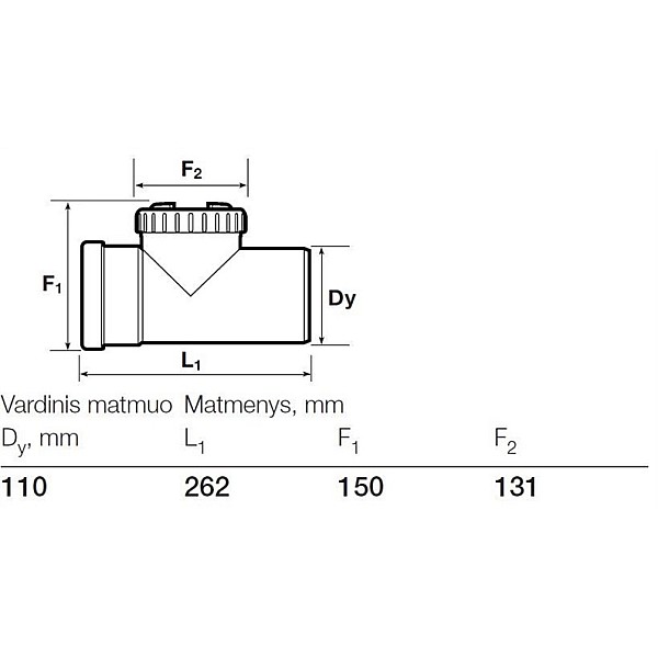 Revīzija diametrs – 110 (Wavin)