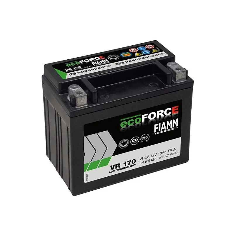 AKUM FIAMM VR170 10 AH 170 A. 12 V