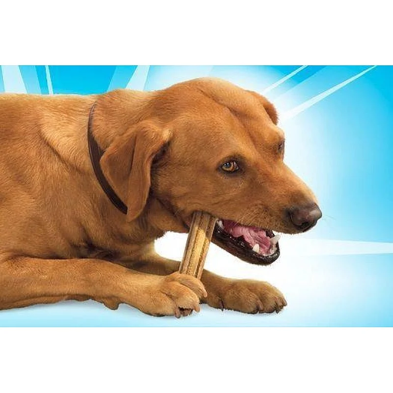 Skanėstas šunims Purina. vištiena. 0.142 kg. 4 vnt. Skanėstas šunims Purina. vištiena. 0.142 kg. 4 vnt.