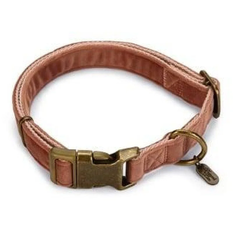 Kaklasiksna suņiem Lotte Velura.260-400mmx15mm. 26-40