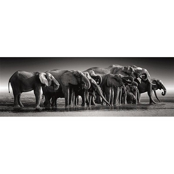 Dėlionė Clementoni Herd Of Giants 39836. 33 cm x 98 cm