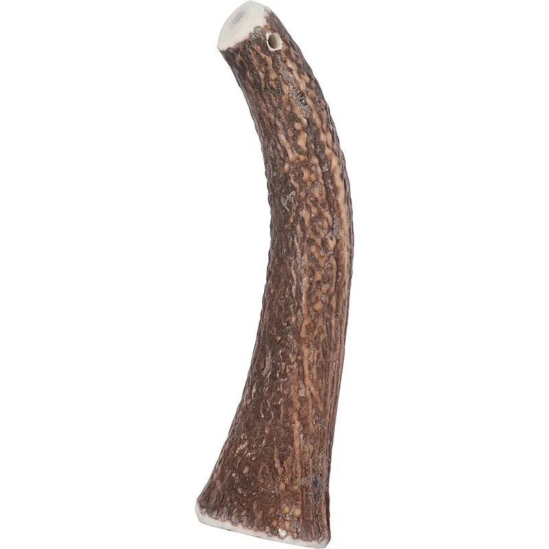 DEER ANTLER HARD MOREXL