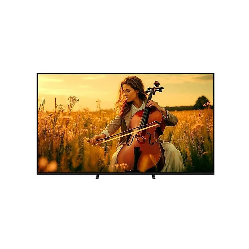 TV SONY K55XR55B