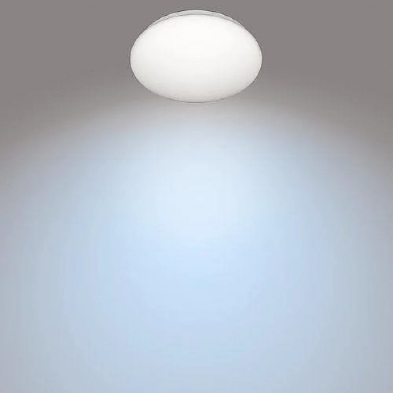 CEILING LAMP PHILIPS CL200 10W 4000K LED