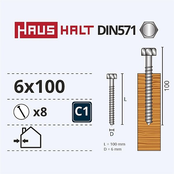 Medvaržčiai Haushalt. DIN571. 6.0 x 100 mm. ZN. 8 vnt.