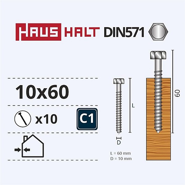 Medvaržčiai Haushalt. DIN571. 10.0 x 60 mm. ZN. 10 vnt.