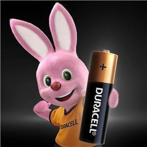 BATTERIES DURACELL AA 10VNT