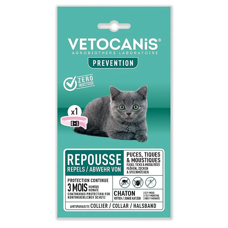 KOLEKTORU APDARES KITTENS