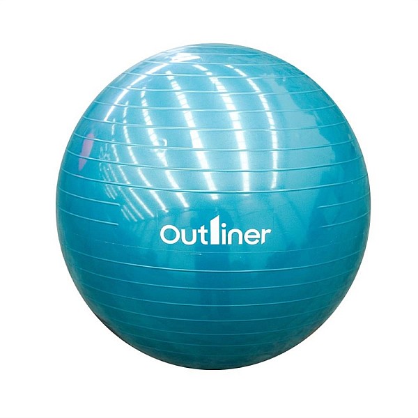 GYM BALL PVC LS3221-55CM