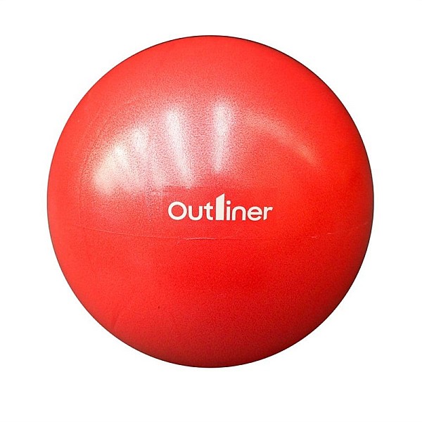 MINI GYM BALL PVC LS3225 25CM