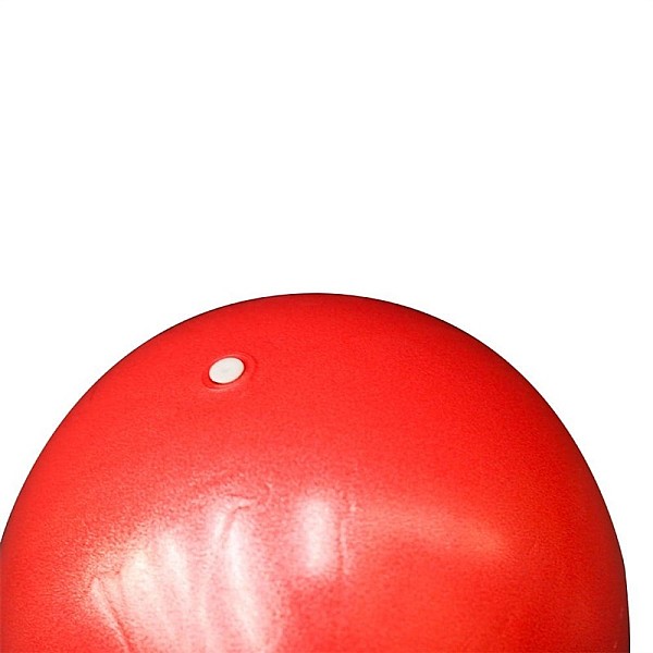 MINI GYM BALL PVC LS3225 25CM