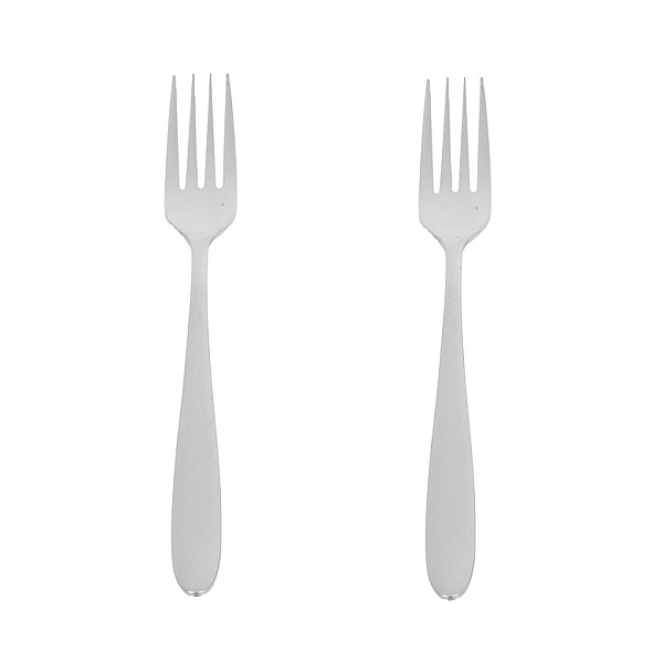 2PCS DINNER FORK SET