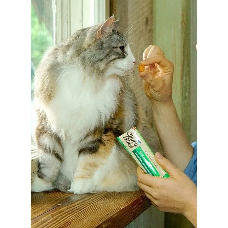 SKANĖSTAS CHURU CAT BITES 30G