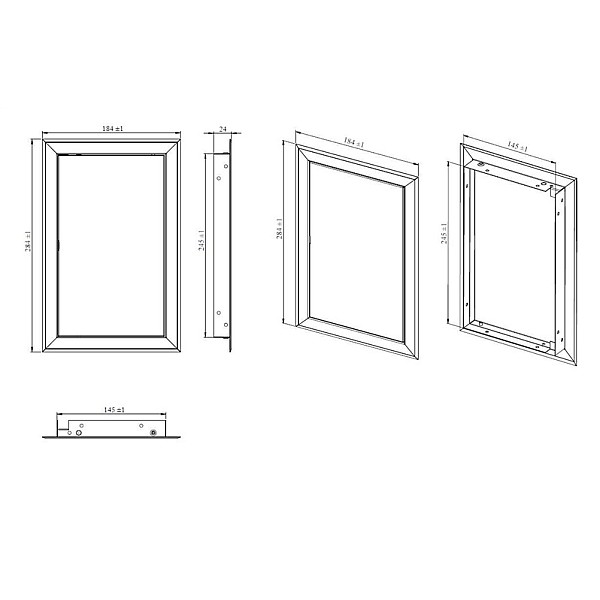 REVISION DOOR 150X250