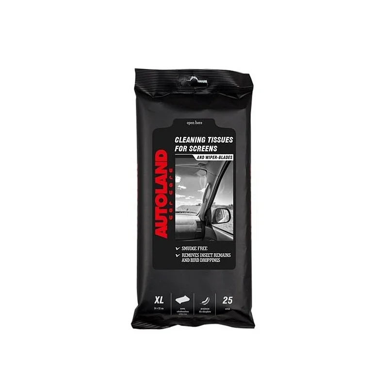 DAMP CAR WINDOWS WIPES