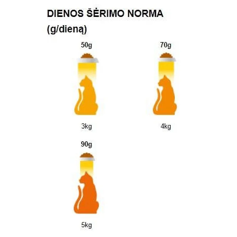 ĖDALAS KATĖMS „FRISKIES“ 1KG