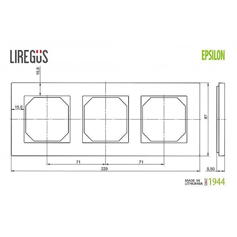 Trivietis rėmelis LIREGUS EPSILON. natūralus ąžuolas Trivietis rėmelis LIREGUS EPSILON. natūralus ąžuolas