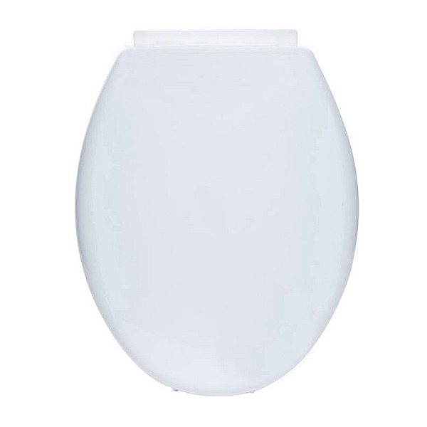 TOILET COVER WITH SLOW FLUSH MECHANISM