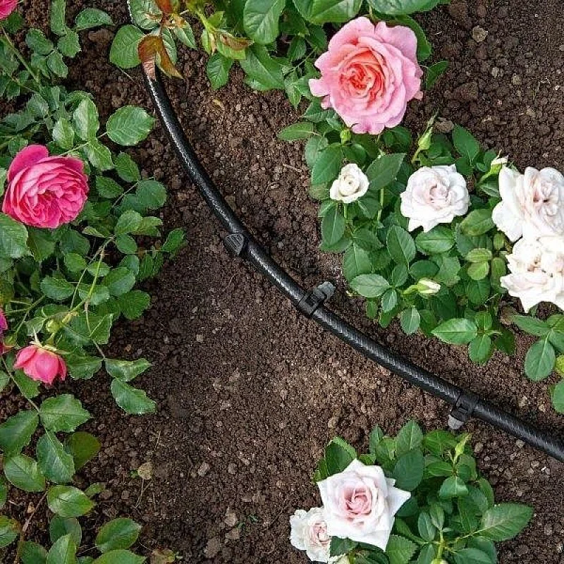 DRĖKINIMO ŽARNA SKIRTA LAISTYMO SISTEMAI; 10 m DRĖKINIMO ŽARNA SKIRTA LAISTYMO SISTEMAI; 10 m