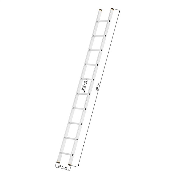 LADDERS 1X10 FORTE TOOLS 8110