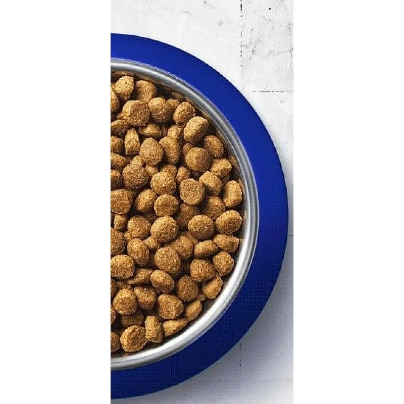 KAĶU BARĪBA ONE ADULT AR TĪTARA GAĻU KAĶU BARĪBA ONE ADULT AR TĪTARA GAĻU