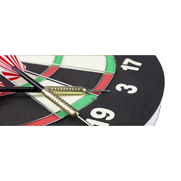 DARTBOARD BRISTOW FAMILY DART 0304