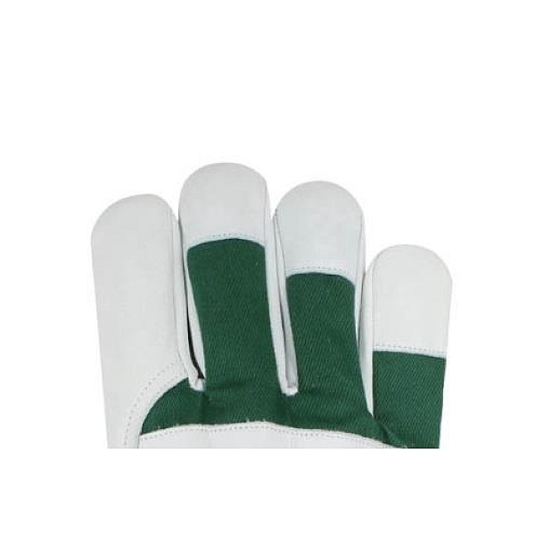 LEATHER GLOVES WITH COTTON BAC. AB-2401