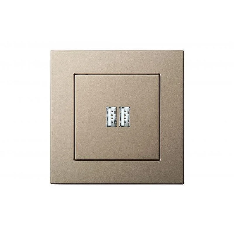 CHARGER USB ĮUK-2-01 CHAMPAGNE