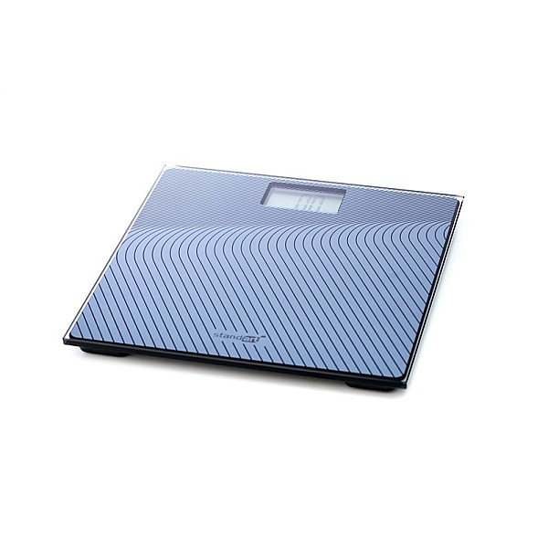 BATHROOM SCALE STANDART EB9345 GREY